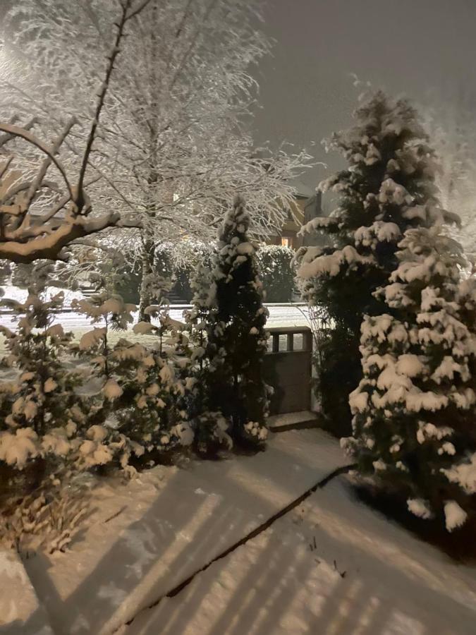 Guest House Mr Fox Druskininkai Exterior foto