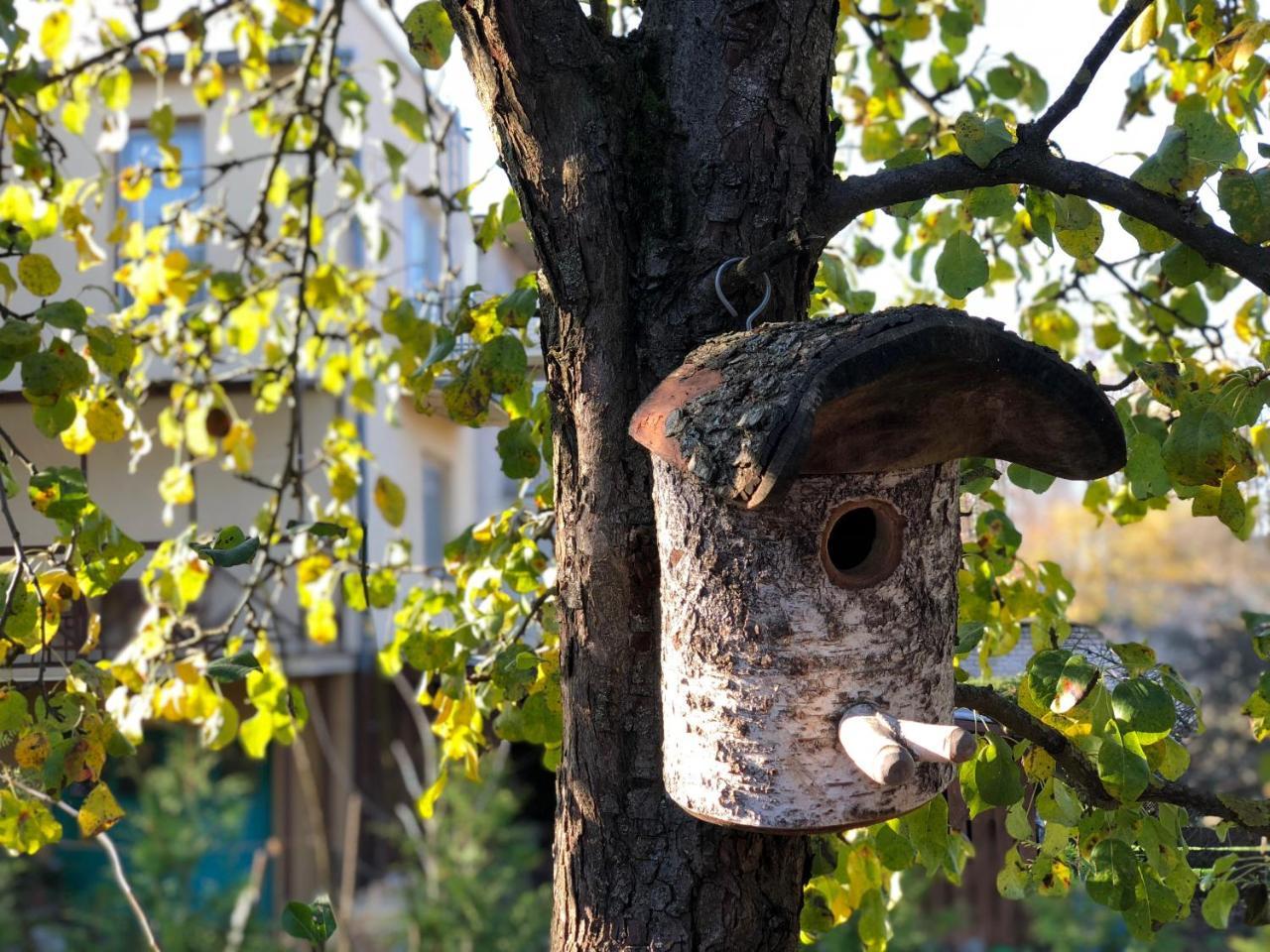 Guest House Mr Fox Druskininkai Exterior foto